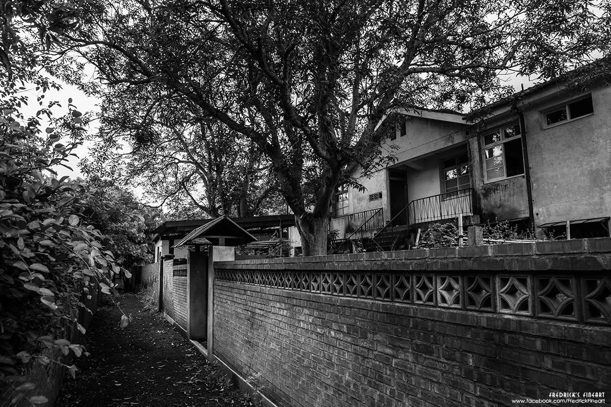 相隔一個多月,又回到這懷念的老眷村,沒想到主場景就在邱家正對面。 相隔一個多月,又回到這懷念的老眷村,沒想到主場景就在邱家正對面。