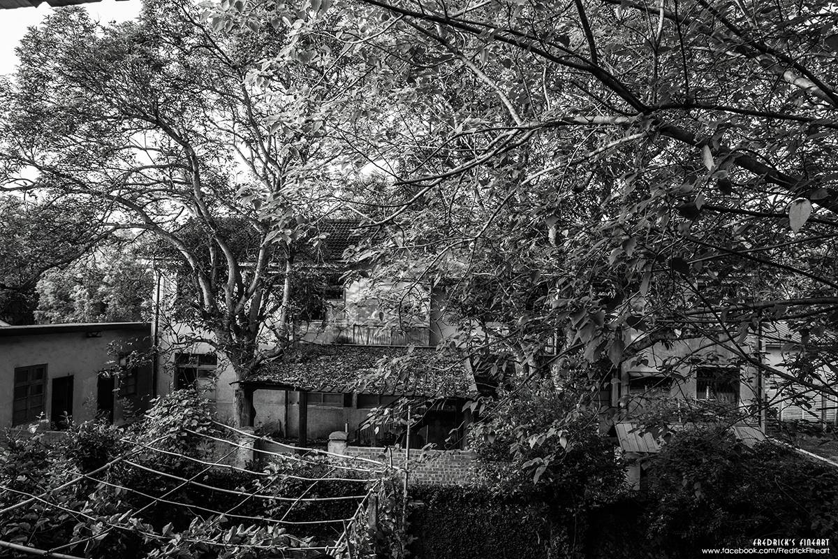 光復新村殺青!我會想念這個規劃優美有空間感的眷村(聽說原本是省府文官居處的) 光復新村殺青!我會想念這個規劃優美有空間感的眷村(聽說原本是省府文官居處的)