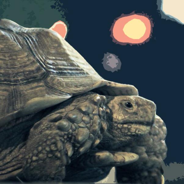 公視人生劇展‧仲夏夜府城