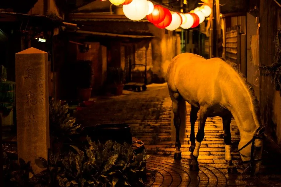 仲夏夜府城-台南的巷弄間發生什麼神奇的事？