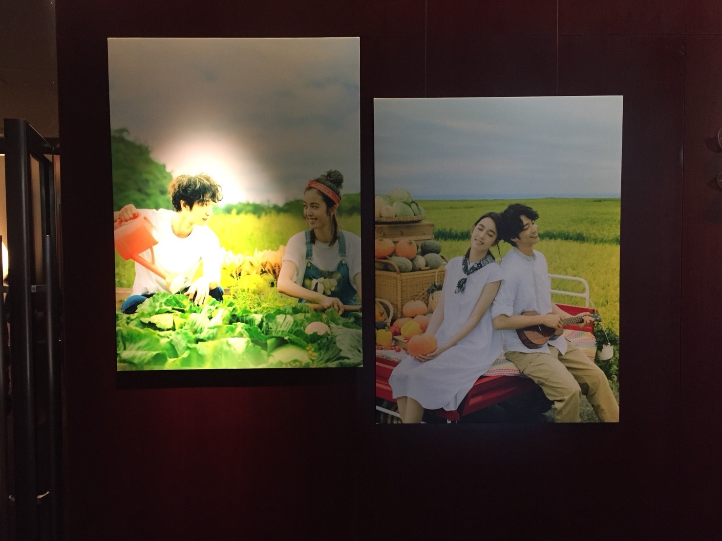 種菜女神首映會